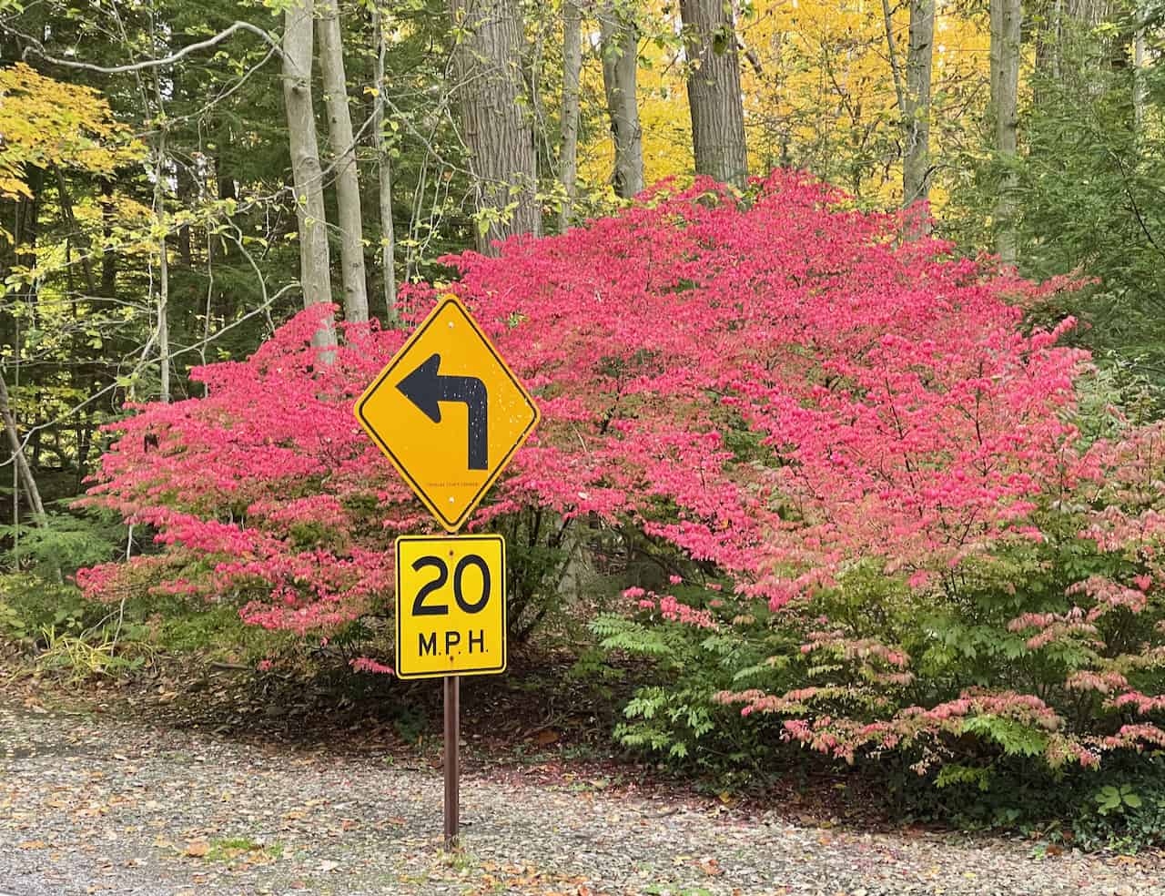 Payments Firms Face Fragmented Data Disruption