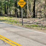 winding road curve change uncertainty adapt difficult